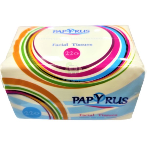 Napkins "Papyrus" facial tissues high quality two-layer 220pcs