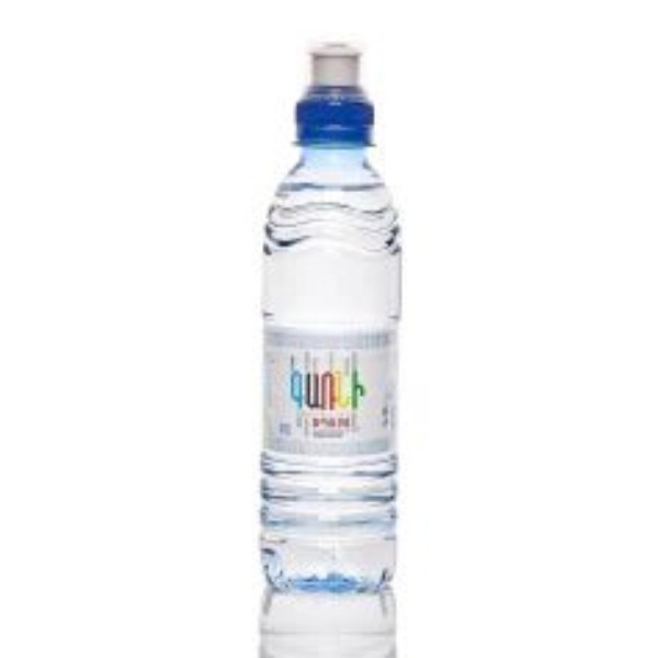 Natural drinking water "Garni" sport non-carbonated 0.5l