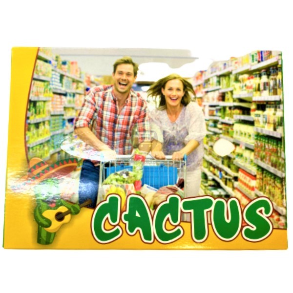 Napkins "Cactus" 2-layer in a box 100pcs