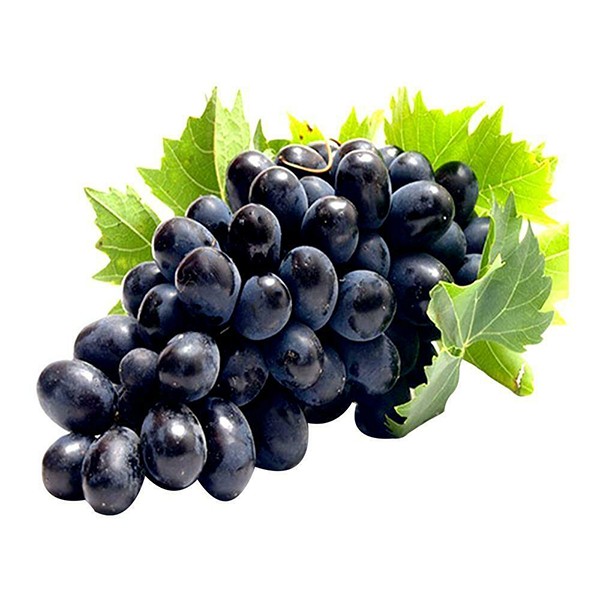 Grapes "Marketyan" black kg