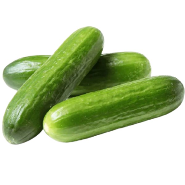 Cucumbers "Marketyan" Nazrvan kg