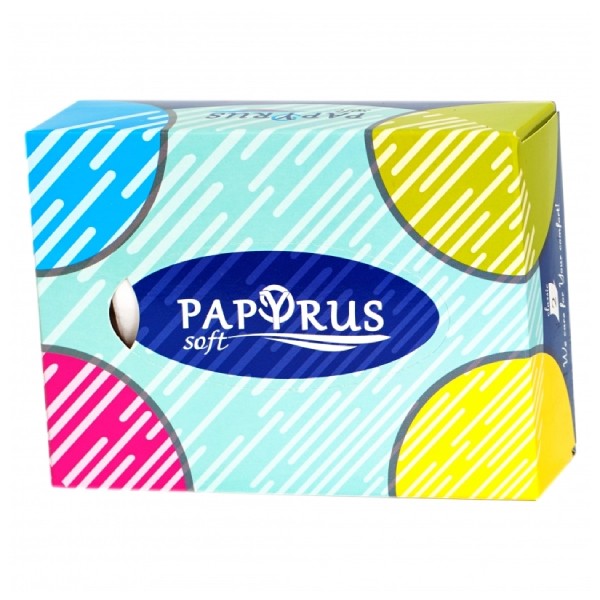 Napkin "Papyrus" two-layer weighted 60 pieces