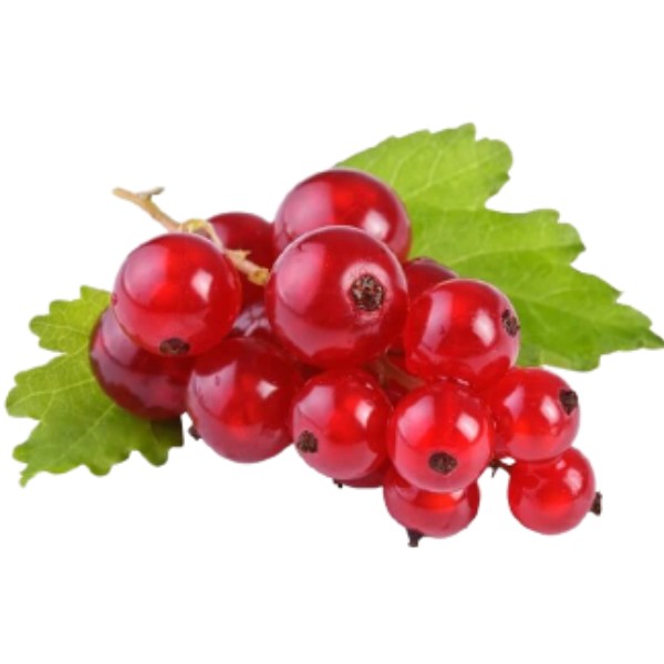 Currant "Marketyan" red kg
