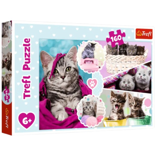 Puzzle "Trefl" Magic kittens 160pcs