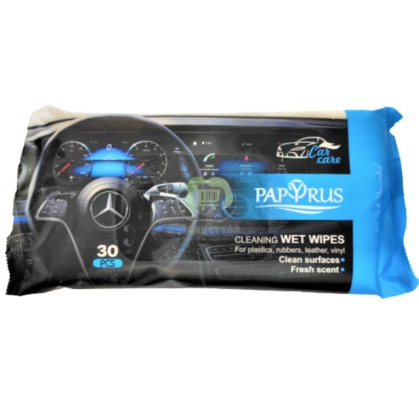 Cleaning wet wipes "Papyrus" for car care 30pcs