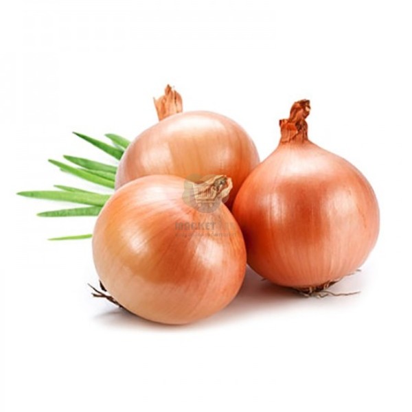 Bulb onion "Marketyan" kg